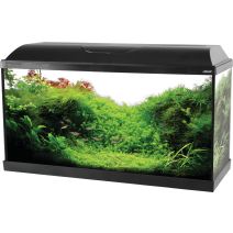 Kit aquarium iseo tout équipé L 81 x p 31 x h 47,5 cm 84L noir